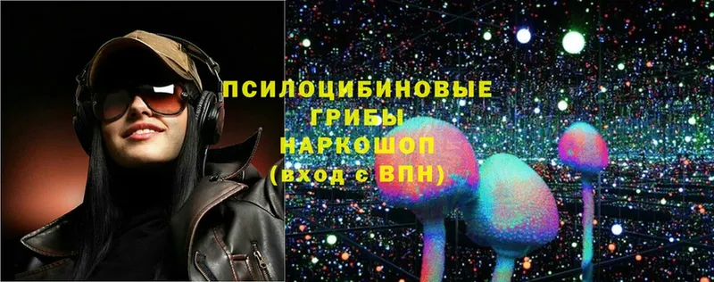 купить  сайты  Горбатов  Галлюциногенные грибы Magic Shrooms 