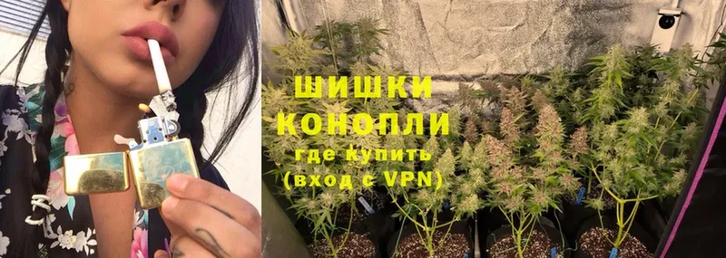 blacksprut сайт  Горбатов  Конопля OG Kush 